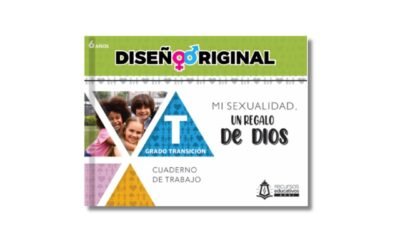 Diseño original / Transición